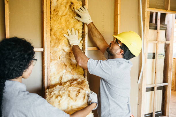 Best Insulation for New Construction  in Cranford, NJ